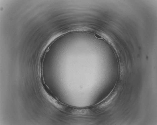 X0000065960843200603172022