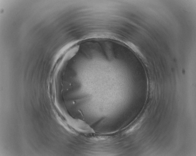 X0000065960846200603172022