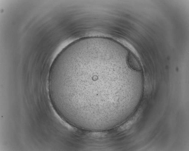 X0000065960847200603172022