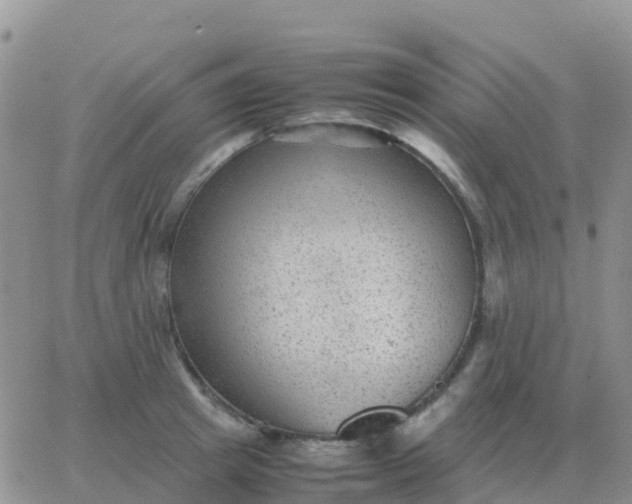 X0000065960849200603172023