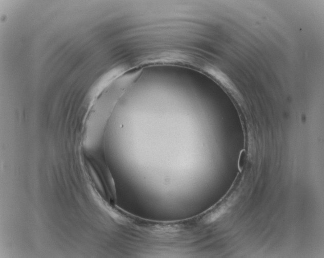 X0000065960850200603172023