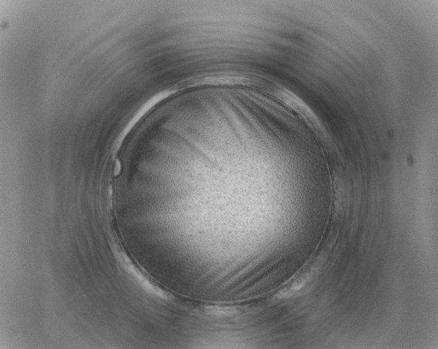 X0000065960852200603172023