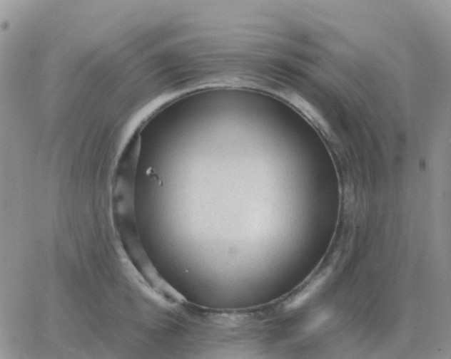 X0000065960854200603172023