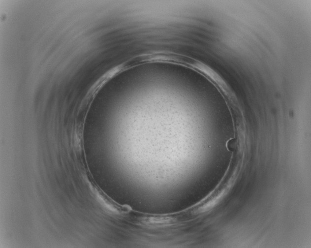 X0000065960857200603172023