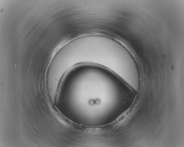 X0000065960858200603172023