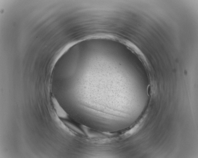 X0000065960860200603172023