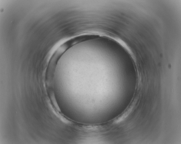 X0000065960862200603172023