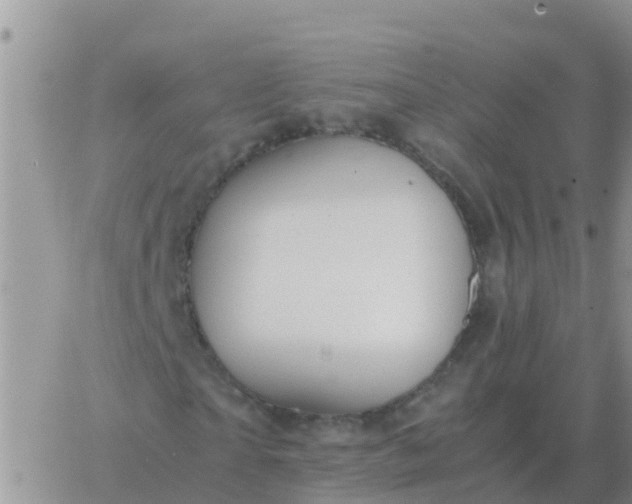 X0000065960865200603172022