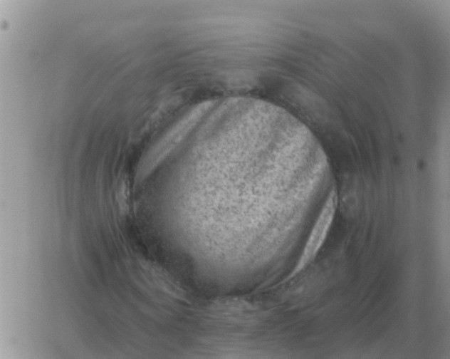 X0000065960866200603172022