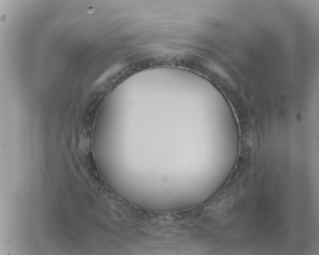 X0000065960869200603172022