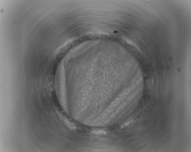 X0000065960870200603172022