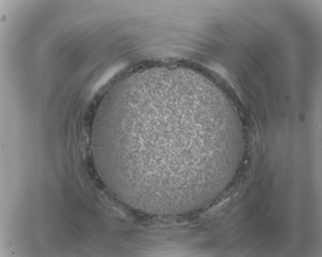 X0000065960871200603172022