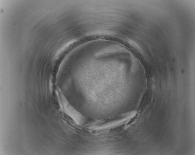 X0000065960872200603172022