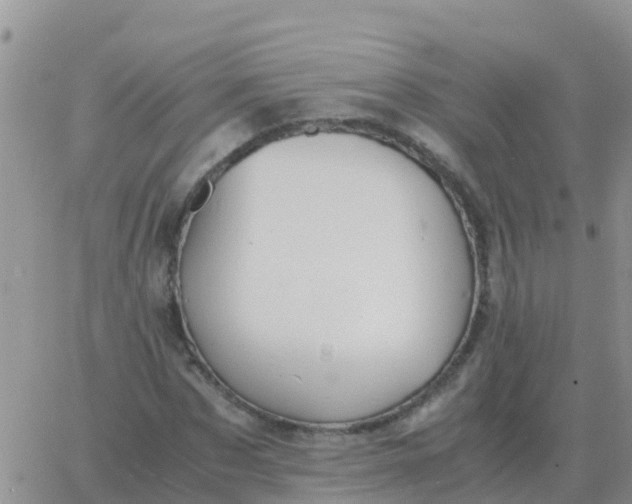 X0000065960873200603172022