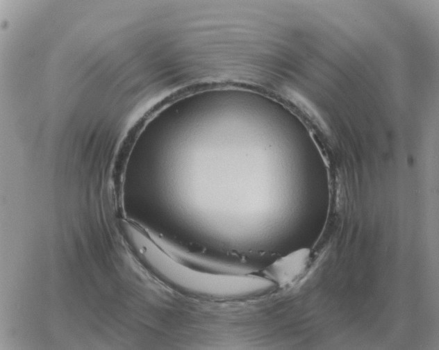 X0000065960876200603172022