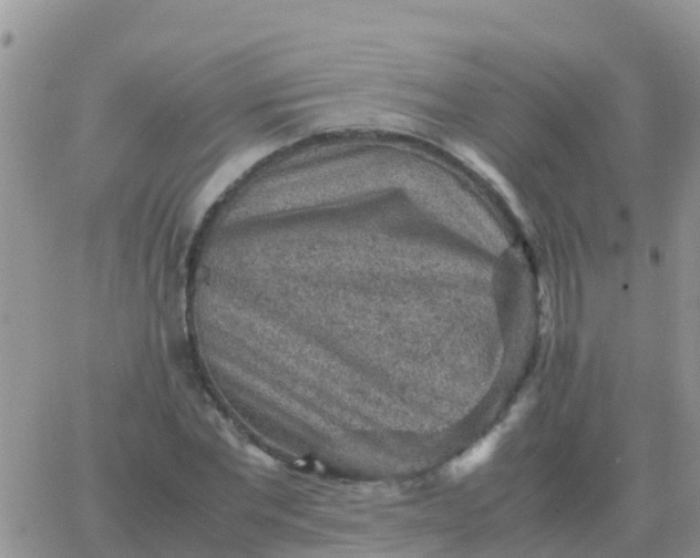 X0000065960877200603172022