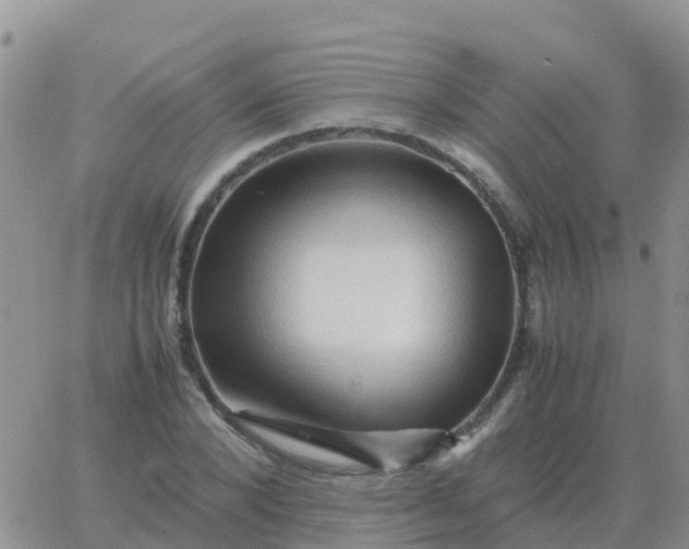 X0000065960880200603172022