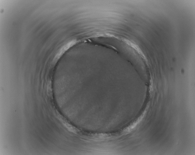 X0000065960881200603172022