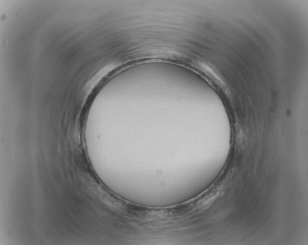 X0000065960883200603172022