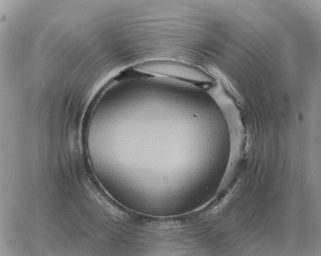 X0000065960884200603172022