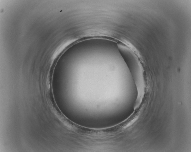 X0000065960885200603172022