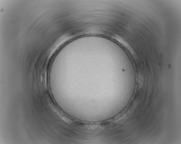 X0000065960886200603172022