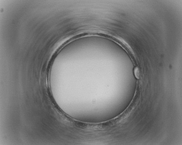 X0000065960887200603172022