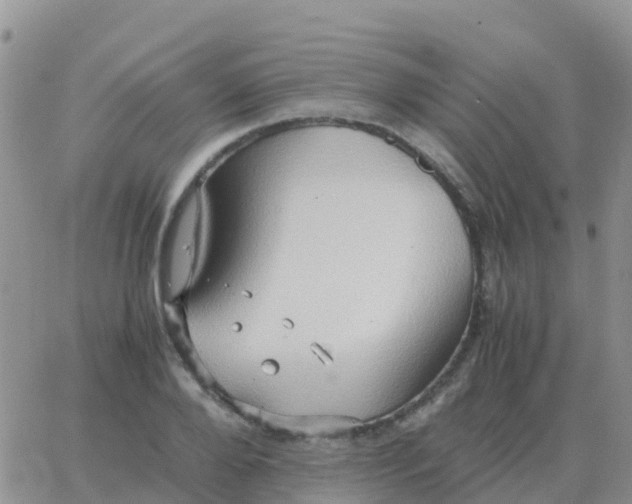 X0000065960888200603172022