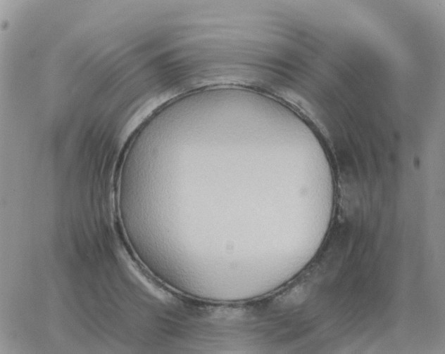 X0000065960890200603172022