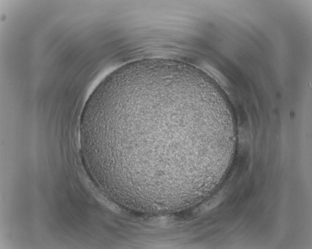 X0000065960891200603172022