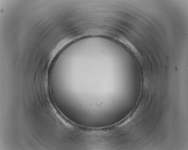 X0000065960894200603172022