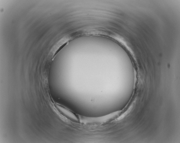 X0000065960897200603172021