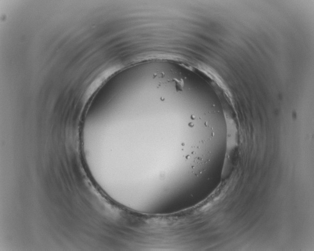 X0000065960898200603172021