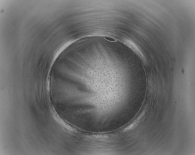 X0000065960900200603172021