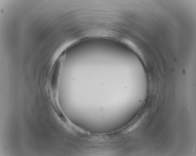 X0000065960901200603172021