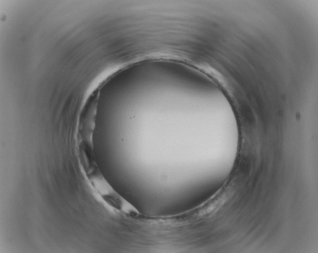 X0000065960902200603172021