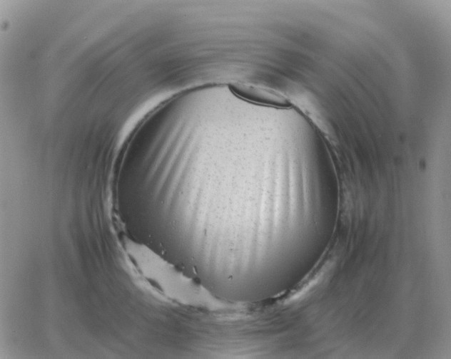 X0000065960904200603172021