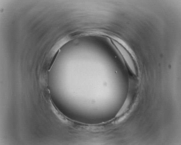 X0000065960905200603172021