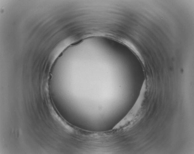 X0000065960906200603172021