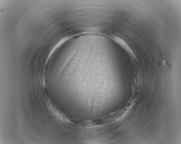 X0000065960908200603172021