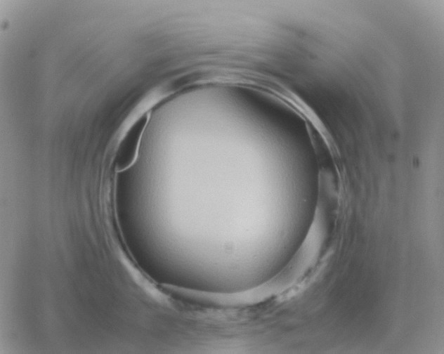 X0000065960909200603172021