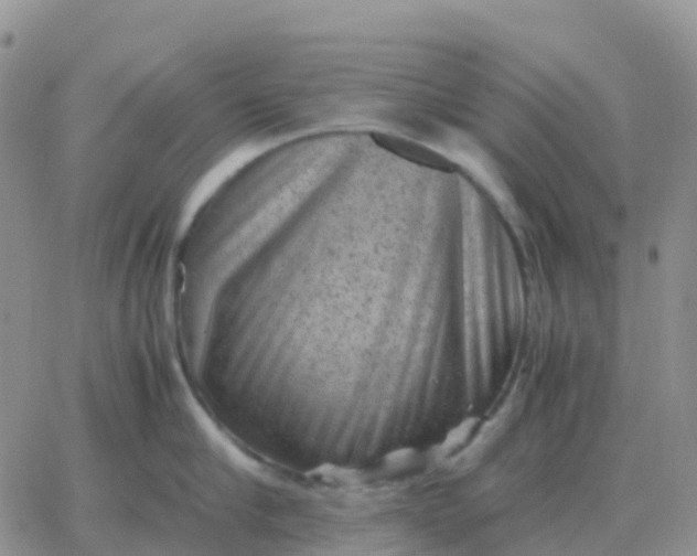 X0000065960910200603172021