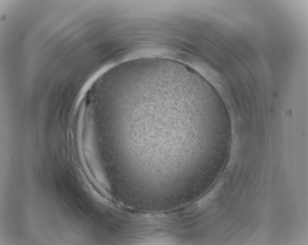 X0000065960912200603172021