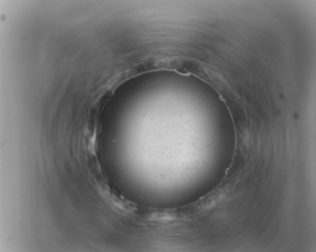 X0000065960914200603172020