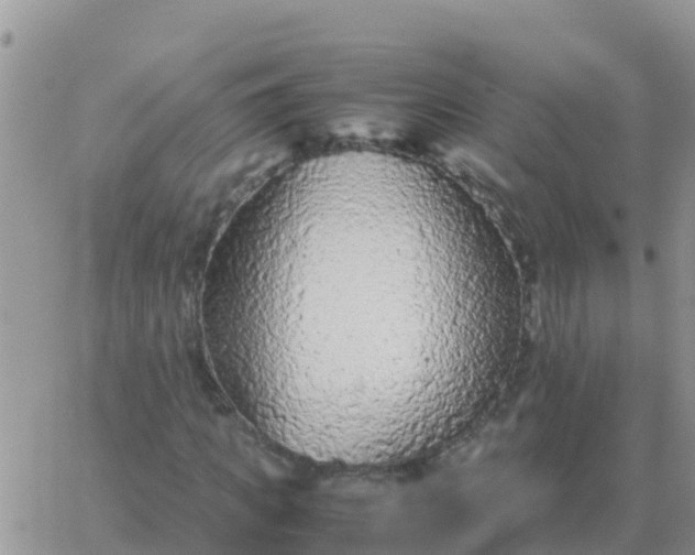 X0000065960917200603172020