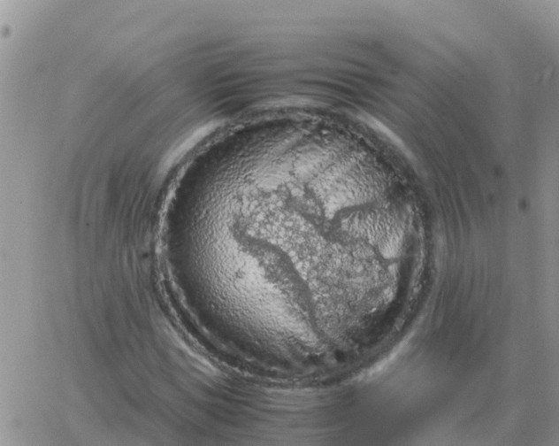 X0000065960921200603172020