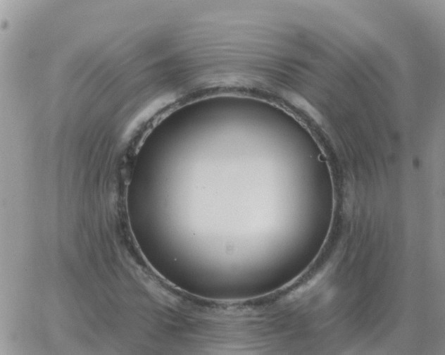 X0000065960922200603172020