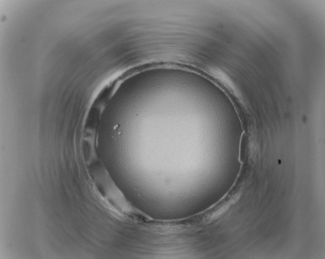 X0000065960924200603172021