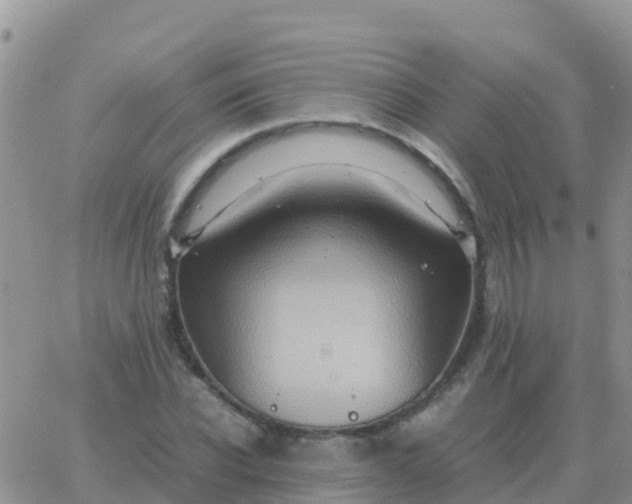 X0000065960926200603172021