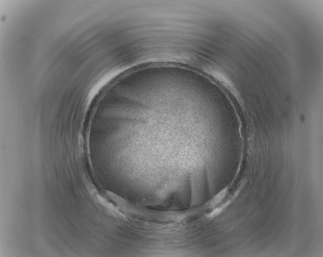 X0000065960928200603172021